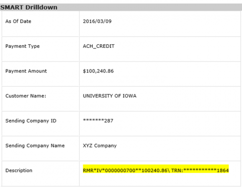 Payment Details Example Payment Details Example graphic