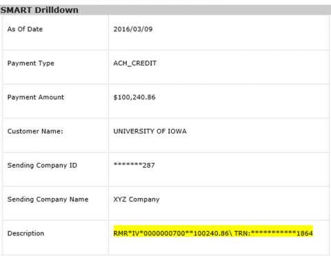 Payment Details Example graphic